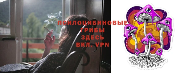 твердый Гусиноозёрск