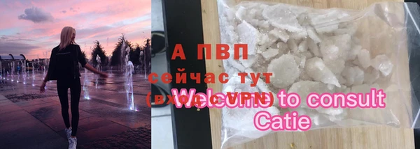 альфа пвп Гусев