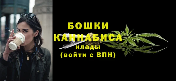 твердый Гусиноозёрск