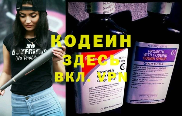альфа пвп Гусев