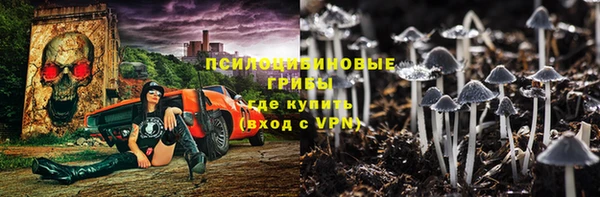 альфа пвп Гусев