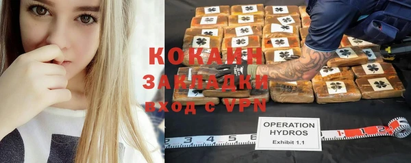 альфа пвп Гусев
