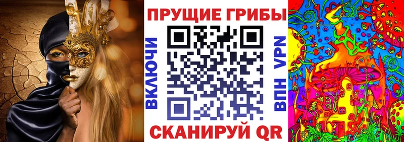 Галлюциногенные грибы MAGIC MUSHROOMS  Купить где  Кинешма 